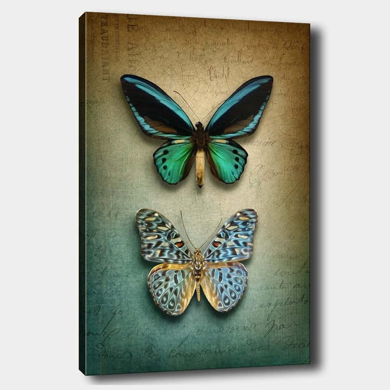Canvastavla 70x100 cm - Två vackra fjärilar i en harmonisk komposition - Turkos / Grön / Blå - Inredning - Tavlor & konst - Canvastavlor