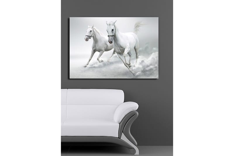 Canvastavla 70x100 cm - Två vita hästar som galopperar framåt i en dynamisk rörelse - Vit / Grå - Inredning - Tavlor & konst - Canvastavlor