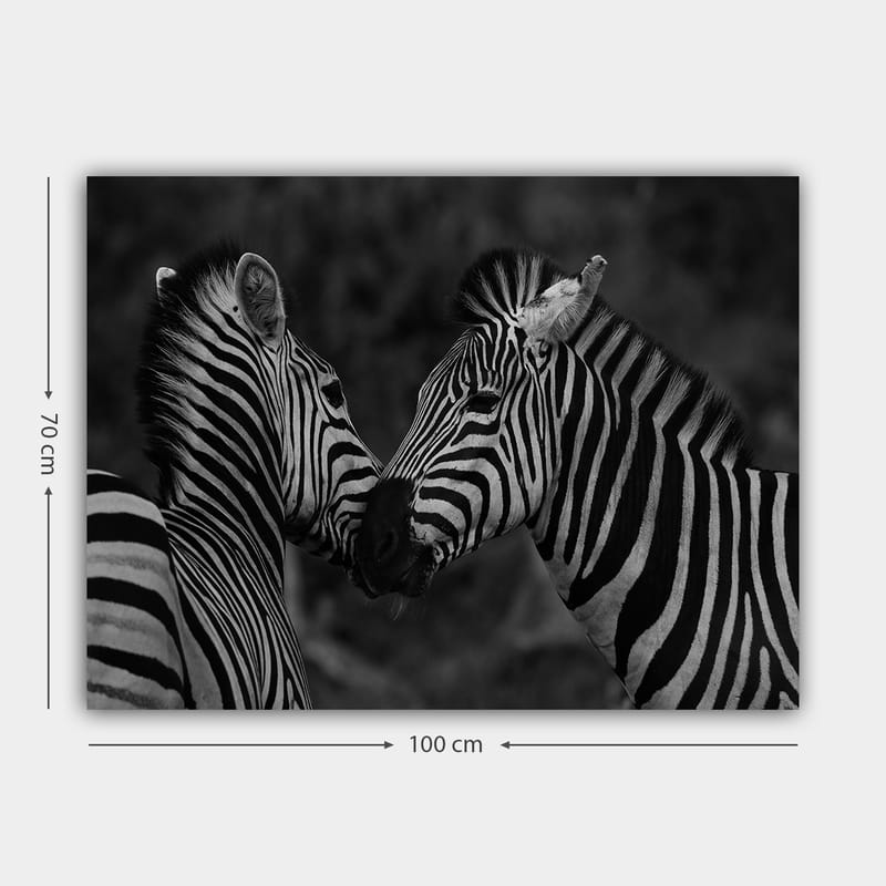 Canvastavla 70x100 cm - Två zebror som står nära varandra och visar sin samhörighet - Svart / Vitt - Inredning - Tavlor & konst - Canvastavlor
