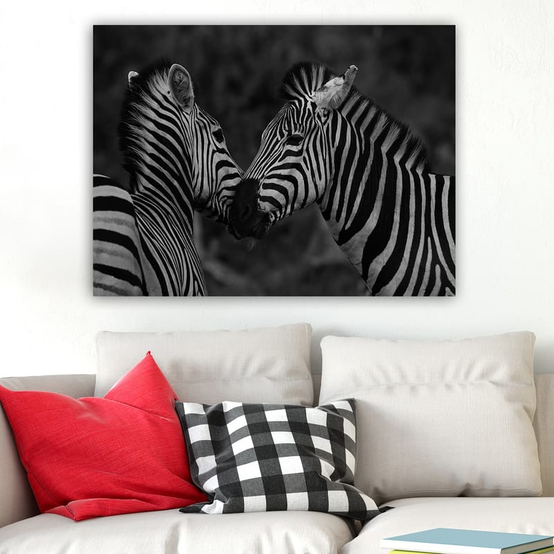 Canvastavla 70x100 cm - Två zebror som står nära varandra och visar sin samhörighet - Svart / Vitt - Inredning - Tavlor & konst - Canvastavlor