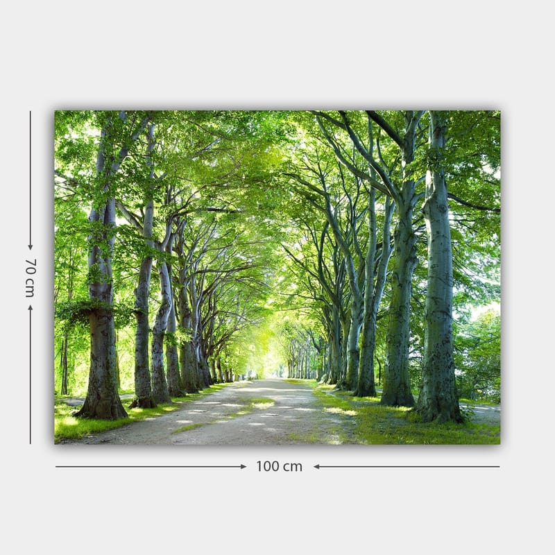 Canvastavla 70x100 cm - Vacker allé av träd som skapar en lugn och inbjudande väg - Grön / Ljusgrön / Brun - Inredning - Tavlor & konst - Canvastavlor