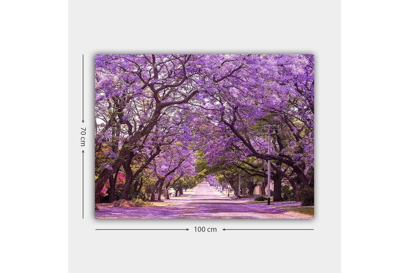 Canvastavla 70x100 cm - Vacker allé med lila blommande träd som skapar en drömlik atmosfär - Lila / Grön - Inredning - Tavlor & konst - Canvastavlor