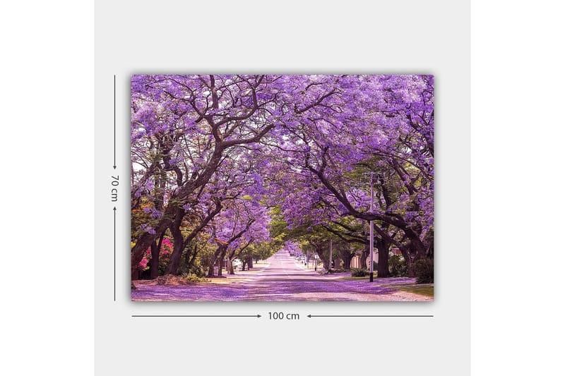 Canvastavla 70x100 cm - Vacker allé med lila blommande träd som skapar en drömlik atmosfär - Lila / Grön - Inredning - Tavlor & konst - Canvastavlor