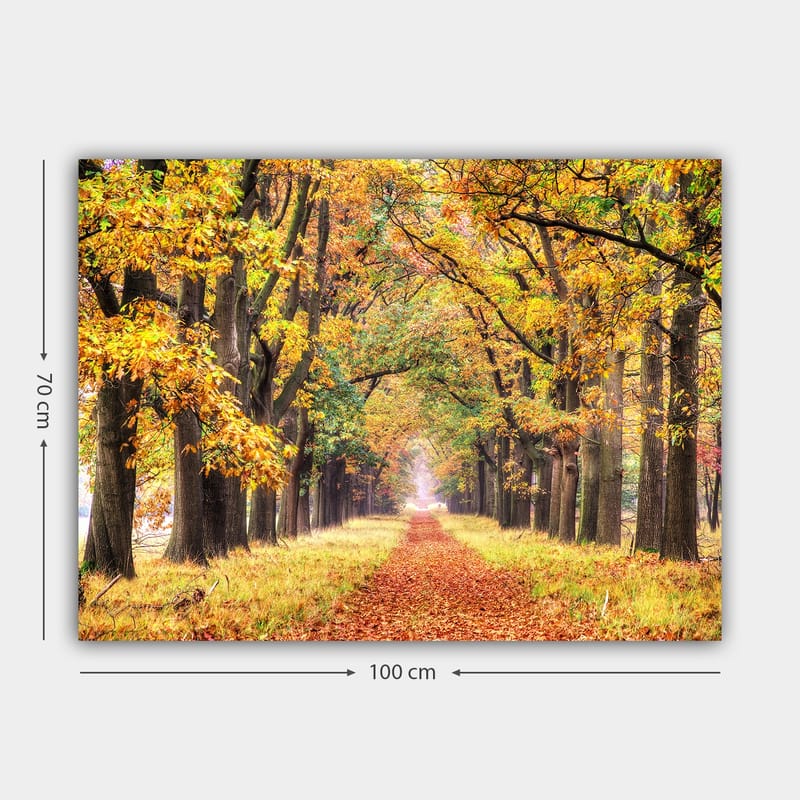 Canvastavla 70x100 cm - Vacker allé omgiven av höstfärgade träd som leder mot en ljusare horisont - Guldorange / Grön / Brun - Inredning - Tavlor & konst - Canvastavlor