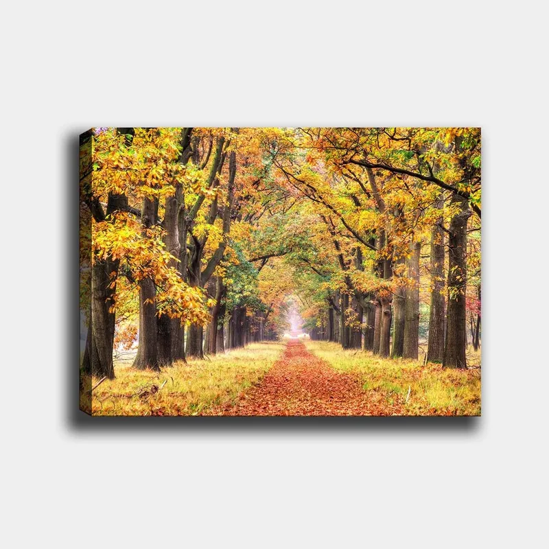 Canvastavla 70x100 cm - Vacker allé omgiven av höstfärgade träd som leder mot en ljusare horisont, Guldorange / Grön / Brun