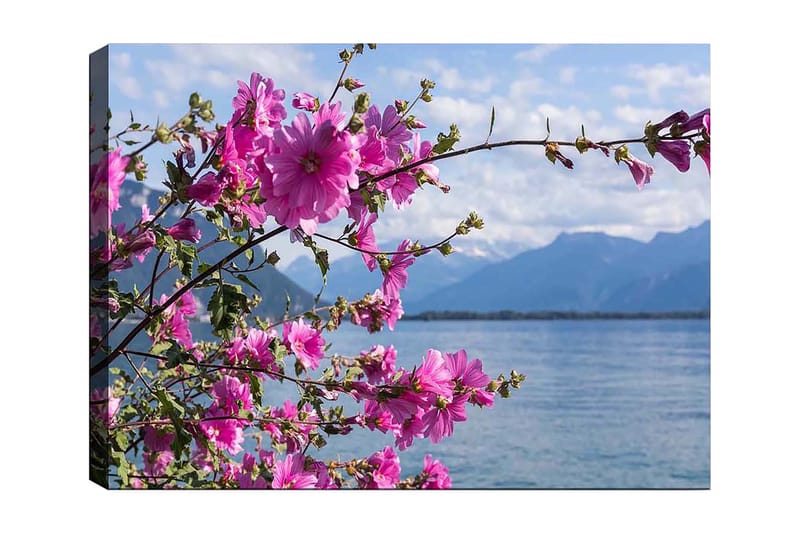 Canvastavla 70x100 cm - Vacker blomstergrupp som sträcker sig över en sjö med berg i bakgrunden - Rosa / Grön - Inredning - Tavlor & konst - Canvastavlor