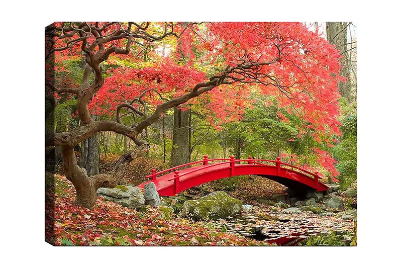 Canvastavla 70x100 cm - Vacker bro i röd färg omgiven av höstfärgade träd och löv, Röd / Grön / Brun
