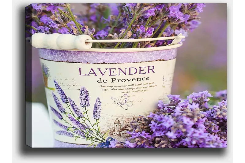 Canvastavla 70x100 cm - Vacker bukett av lavendel i en dekorativ hink - Lila / Vit - Inredning - Tavlor & konst - Canvastavlor