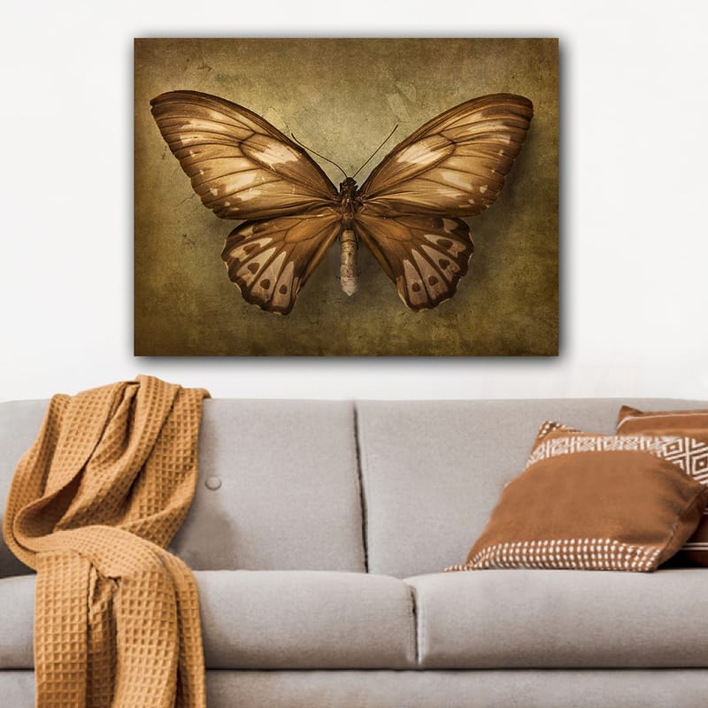 Canvastavla 70x100 cm - Vacker fjäril med detaljerade vingar i bruna och beige nyanser - Brun / Beige - Inredning - Tavlor & konst - Canvastavlor