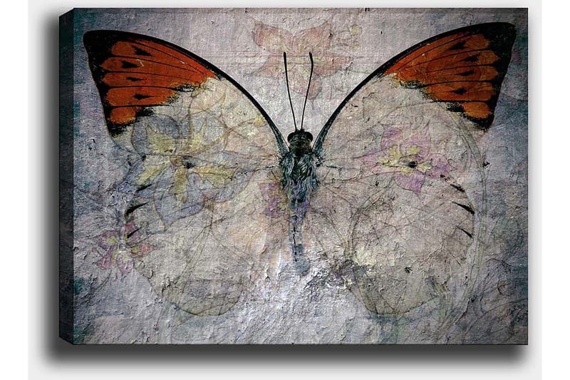 Canvastavla 70x100 cm - Vacker fjäril med orange och vita vingar som framhäver naturens skönhet - Orange / Vit / Grå - Inredning - Tavlor & konst - Canvastavlor
