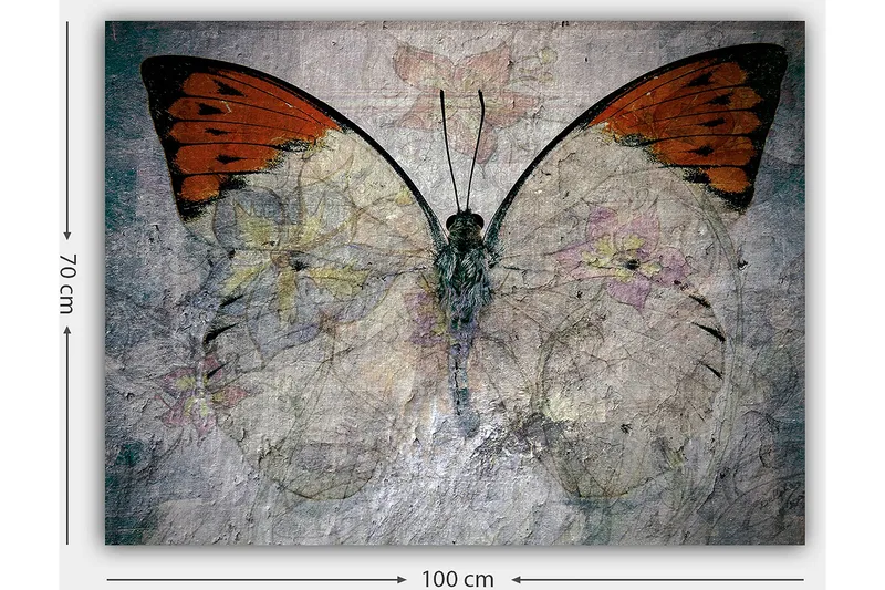 Canvastavla 70x100 cm - Vacker fjäril med orange och vita vingar som framhäver naturens skönhet - Orange / Vit / Grå - Inredning - Tavlor & konst - Canvastavlor