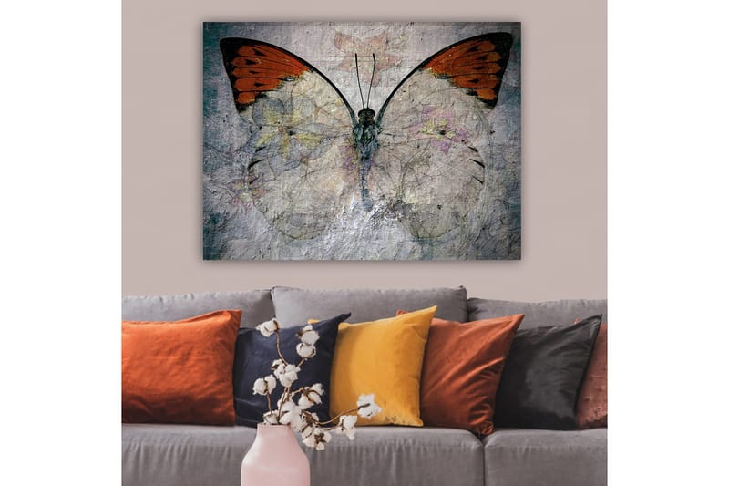 Canvastavla 70x100 cm - Vacker fjäril med orange och vita vingar som framhäver naturens skönhet, Orange / Vit / Grå