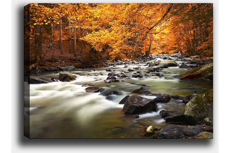 Canvastavla 70x100 cm - Vacker höstlandskap med en porlande bäck omgiven av gyllene och orange lövverk - Gyllene / Orange / Grön - Inredning - Tavlor & konst - Canvastavlor