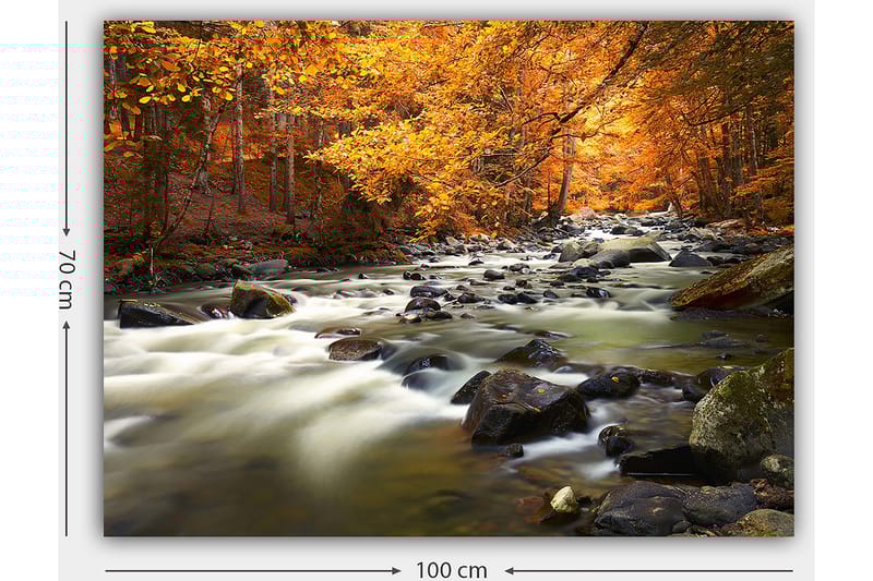 Canvastavla 70x100 cm - Vacker höstlandskap med en porlande bäck omgiven av gyllene och orange lövverk - Gyllene / Orange / Grön - Inredning - Tavlor & konst - Canvastavlor