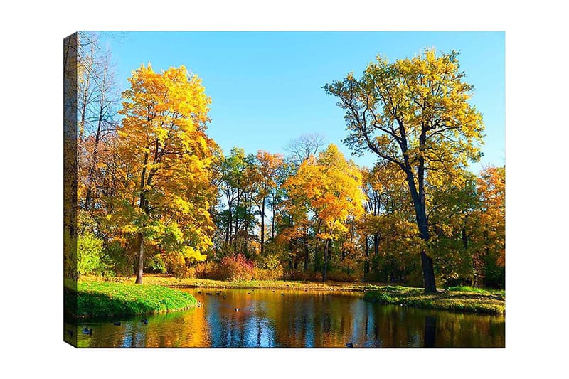 Canvastavla 70x100 cm - Vacker höstlandskap med färgglada träd och en spegelblanka sjö, Guldgul / Grön / Blå