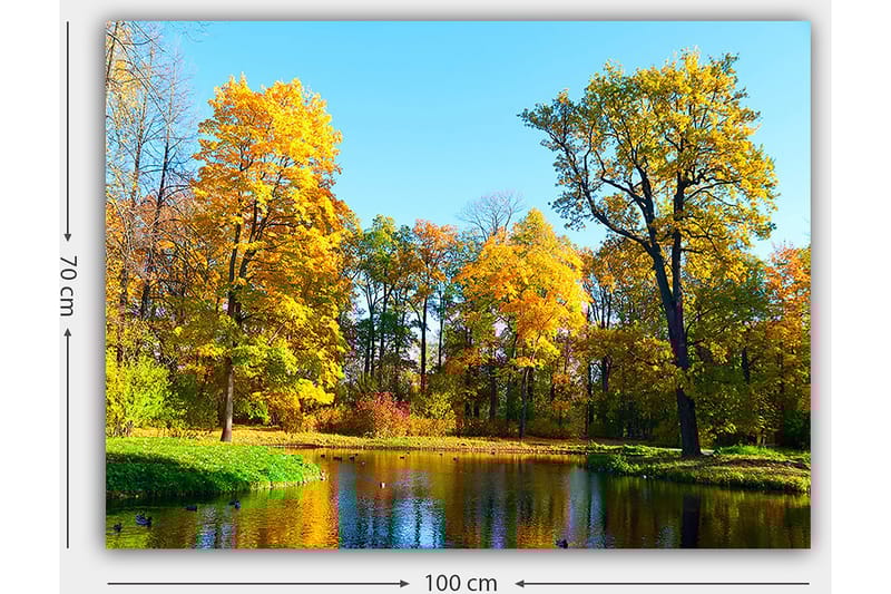 Canvastavla 70x100 cm - Vacker höstlandskap med färgglada träd och en spegelblanka sjö - Guldgul / Grön / Blå - Inredning - Tavlor & konst - Canvastavlor