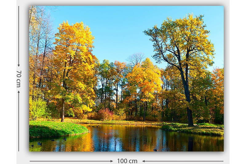 Canvastavla 70x100 cm - Vacker höstlandskap med färgglada träd och en spegelblanka sjö - Guldgul / Grön / Blå - Inredning - Tavlor & konst - Canvastavlor