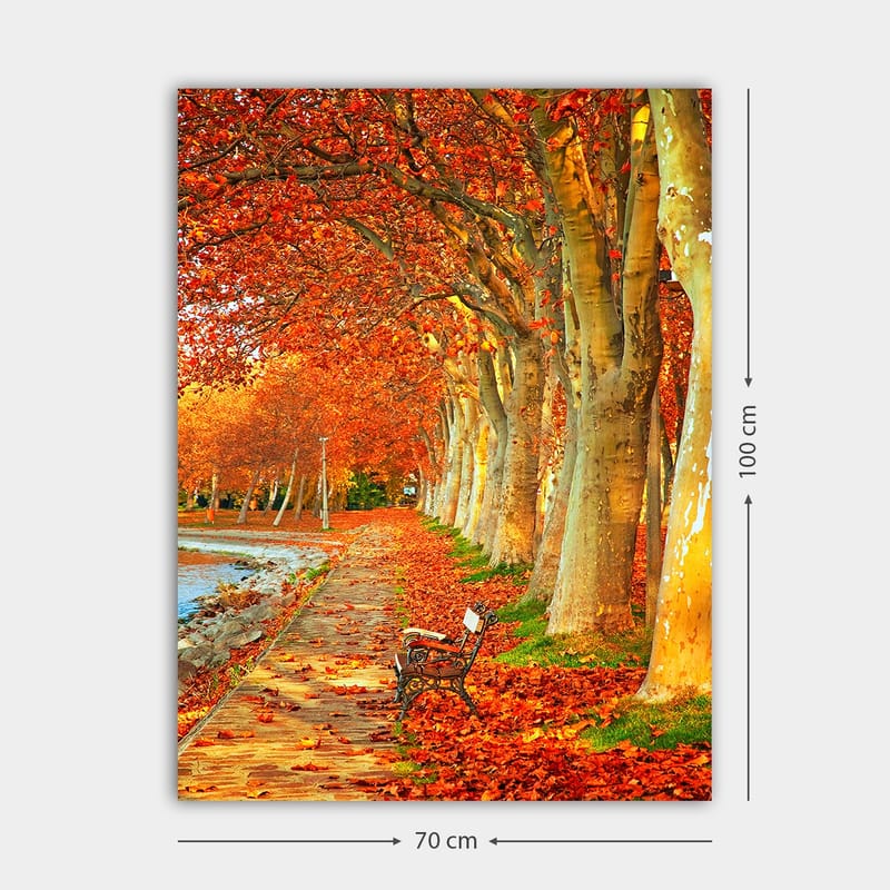 Canvastavla 70x100 cm - Vacker höstscen med en bänk längs en allé av träd med sprakande röda och orange löv - Röd / Orange / Gul - Inredning - Tavlor & konst - Canvastavlor