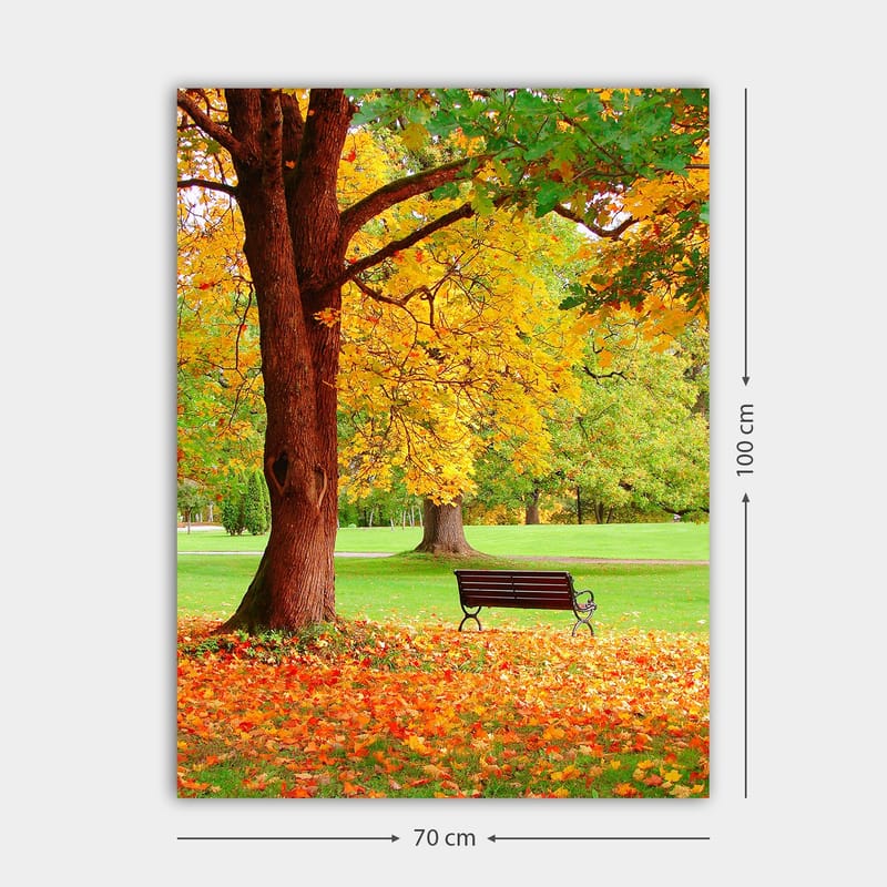 Canvastavla 70x100 cm - Vacker höstscen med en bänk under ett färgsprakande träd - Guldgul / Orange / Brun - Inredning - Tavlor & konst - Canvastavlor