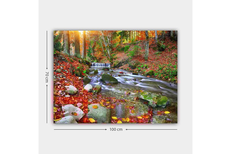 Canvastavla 70x100 cm - Vacker höstscen med en porlande bäck omgiven av färgglada höstlöv - Röd / Grön / Brun - Inredning - Tavlor & konst - Canvastavlor