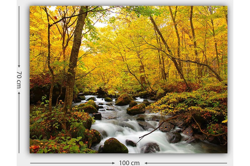 Canvastavla 70x100 cm - Vacker höstscen med ett porlande vattendrag omgiven av gyllene och röda träd - Guldgul / Mörkgrön / Röd - Inredning - Tavlor & konst - Canvastavlor