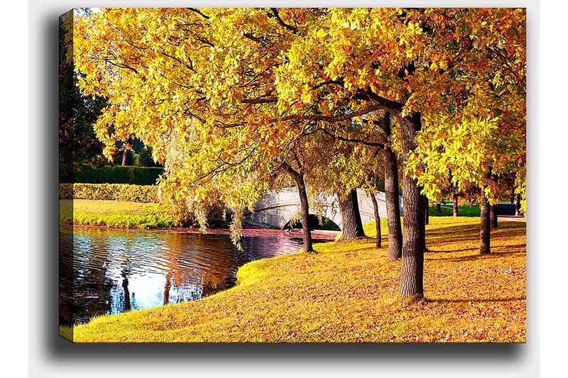 Canvastavla 70x100 cm - Vacker höstscen med gyllene träd som speglar sig i en stilla sjö - Guld / Grön / Brun - Inredning - Tavlor & konst - Canvastavlor