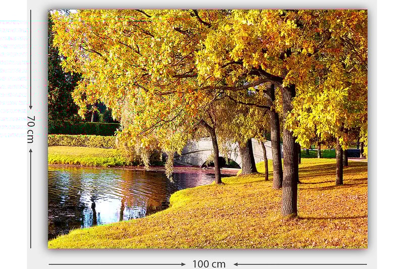 Canvastavla 70x100 cm - Vacker höstscen med gyllene träd som speglar sig i en stilla sjö - Guld / Grön / Brun - Inredning - Tavlor & konst - Canvastavlor