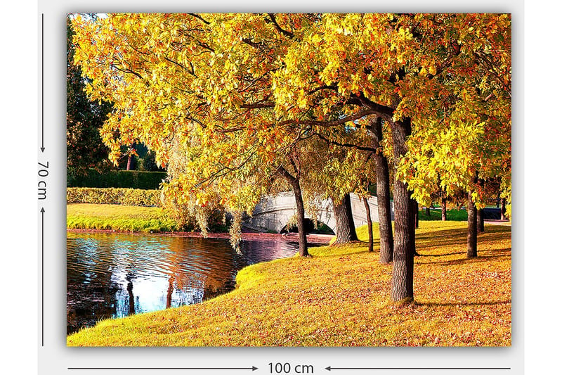 Canvastavla 70x100 cm - Vacker höstscen med gyllene träd som speglar sig i en stilla sjö - Guld / Grön / Brun - Inredning - Tavlor & konst - Canvastavlor