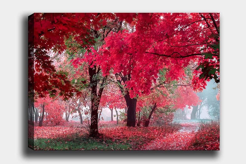 Canvastavla 70x100 cm - Vacker höstscen med röda och orangea löv som täcker träden och marken, Röd / Orange / Grön
