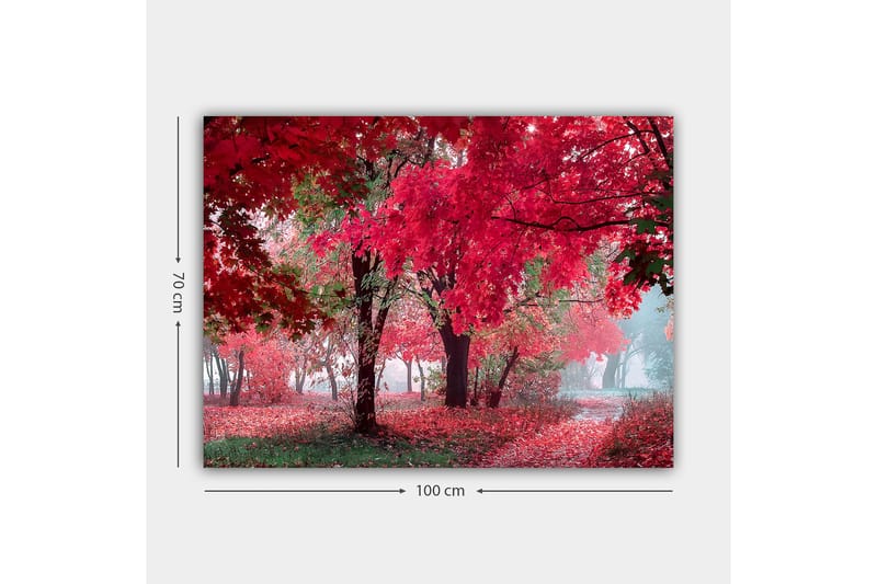 Canvastavla 70x100 cm - Vacker höstscen med röda och orangea löv som täcker träden och marken - Röd / Orange / Grön - Inredning - Tavlor & konst - Canvastavlor