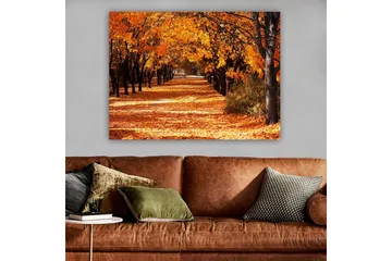 Canvastavla 70x100 cm - Vacker höstscen med träd i starka orangea och gula nyanser som skapar en inbjudande gångväg täckt av fallna löv - Orange / Gult / Brunt - Inredning - Tavlor & konst - Canvastavlor