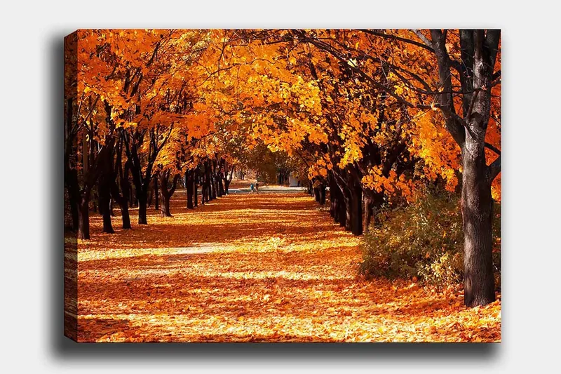 Canvastavla 70x100 cm - Vacker höstscen med träd i starka orangea och gula nyanser som skapar en inbjudande gångväg täckt av fallna löv, Orange / Gult / Brunt