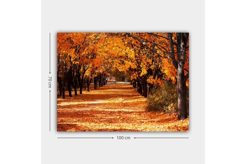 Canvastavla 70x100 cm - Vacker höstscen med träd i starka orangea och gula nyanser som skapar en inbjudande gångväg täckt av fallna löv - Orange / Gult / Brunt - Inredning - Tavlor & konst - Canvastavlor