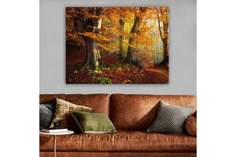 Canvastavla 70x100 cm - Vacker höstskog med färgglada träd och fallna löv - Orange / Röd / Brun - Inredning - Tavlor & konst - Canvastavlor