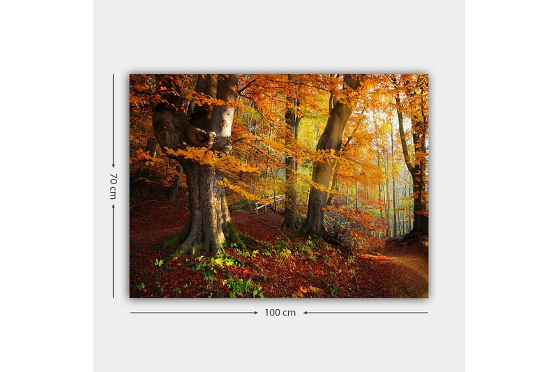 Canvastavla 70x100 cm - Vacker höstskog med färgglada träd och fallna löv - Orange / Röd / Brun - Inredning - Tavlor & konst - Canvastavlor