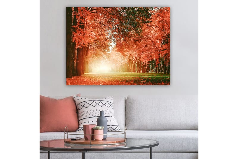 Canvastavla 70x100 cm - Vacker höstskog med strålande orangea och röda löv som skapar en varm och inbjudande atmosfär - Orange / Röd / Grön - Inredning - Tavlor & konst - Canvastavlor