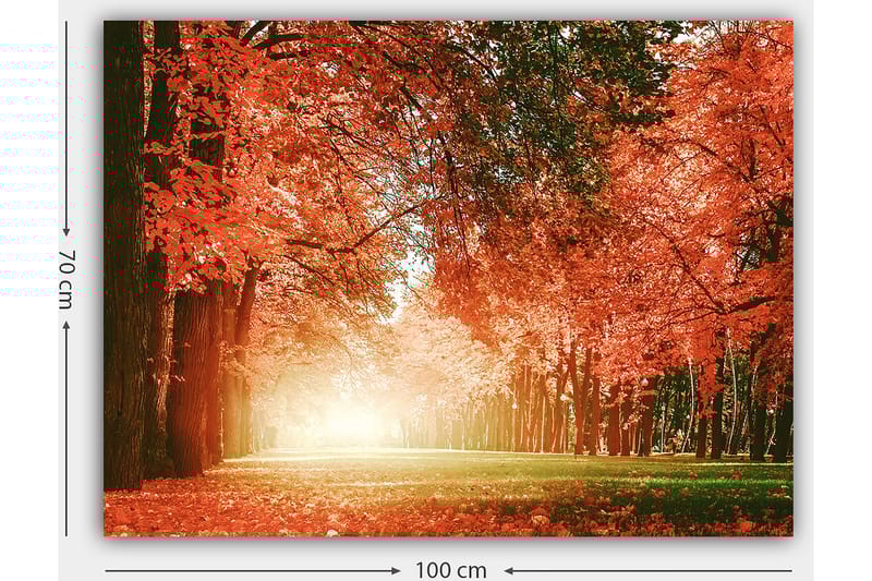 Canvastavla 70x100 cm - Vacker höstskog med strålande orangea och röda löv som skapar en varm och inbjudande atmosfär - Orange / Röd / Grön - Inredning - Tavlor & konst - Canvastavlor