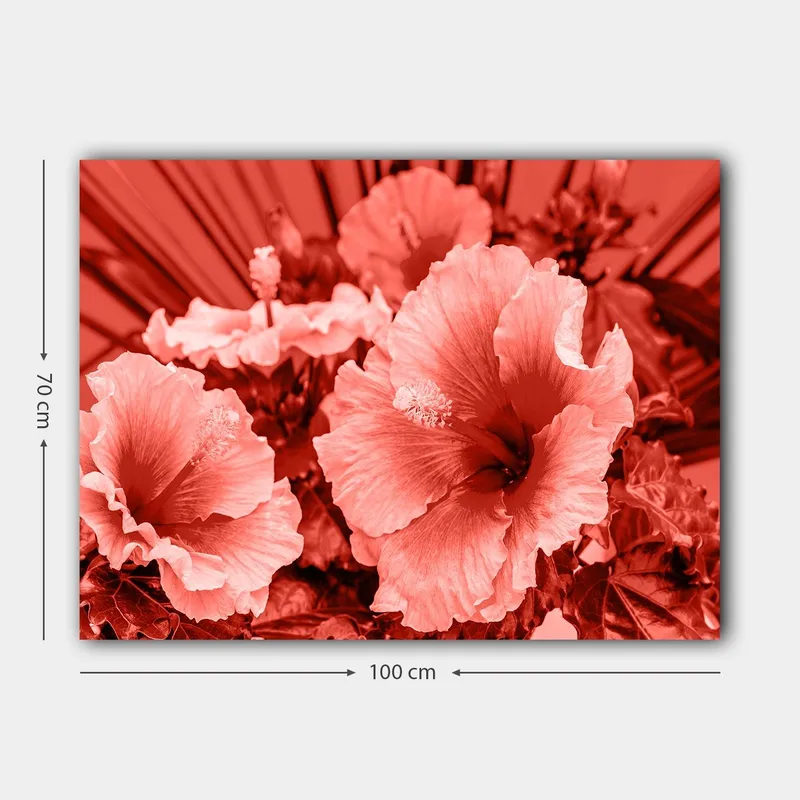 Canvastavla 70x100 cm - Vacker komposition av hibiskusblommor i olika nyanser av röd färg - Röd / Ljusrosa - Inredning - Tavlor & konst - Canvastavlor