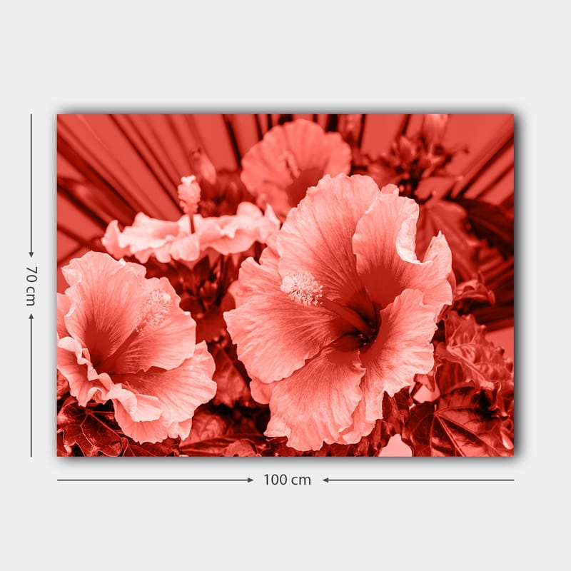 Canvastavla 70x100 cm - Vacker komposition av hibiskusblommor i olika nyanser av röd färg - Röd / Ljusrosa - Inredning - Tavlor & konst - Canvastavlor