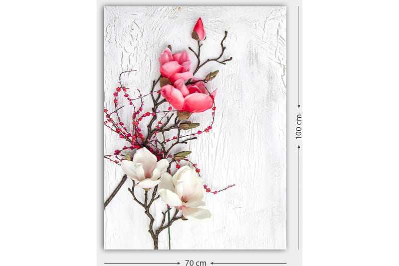 Canvastavla 70x100 cm - Vacker komposition av magnoliablommor i rosa och vitt på en subtil bakgrund - Rosa / Vit / Grön - Inredning - Tavlor & konst - Canvastavlor