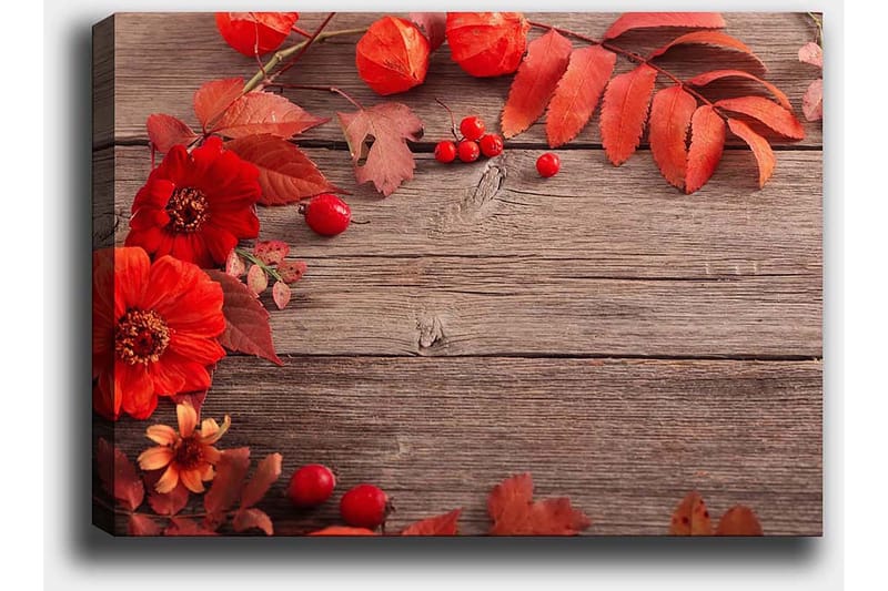 Canvastavla 70x100 cm - Vacker komposition av röda blommor och höstlöv mot en träbakgrund - Röd / Orange / Brun - Inredning - Tavlor & konst - Canvastavlor