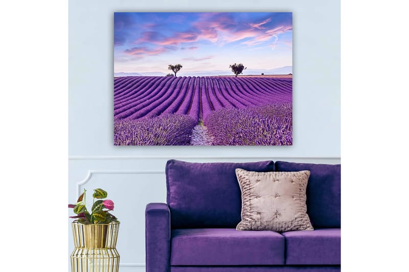 Canvastavla 70x100 cm - Vacker lavendelfält med mjuka, vågiga rader av lavendelblommor under en klar himmel - Lila / Grön / Blå - Inredning - Tavlor & konst - Canvastavlor