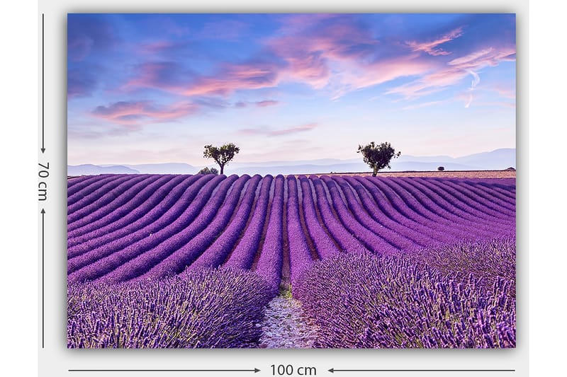 Canvastavla 70x100 cm - Vacker lavendelfält med mjuka, vågiga rader av lavendelblommor under en klar himmel - Lila / Grön / Blå - Inredning - Tavlor & konst - Canvastavlor
