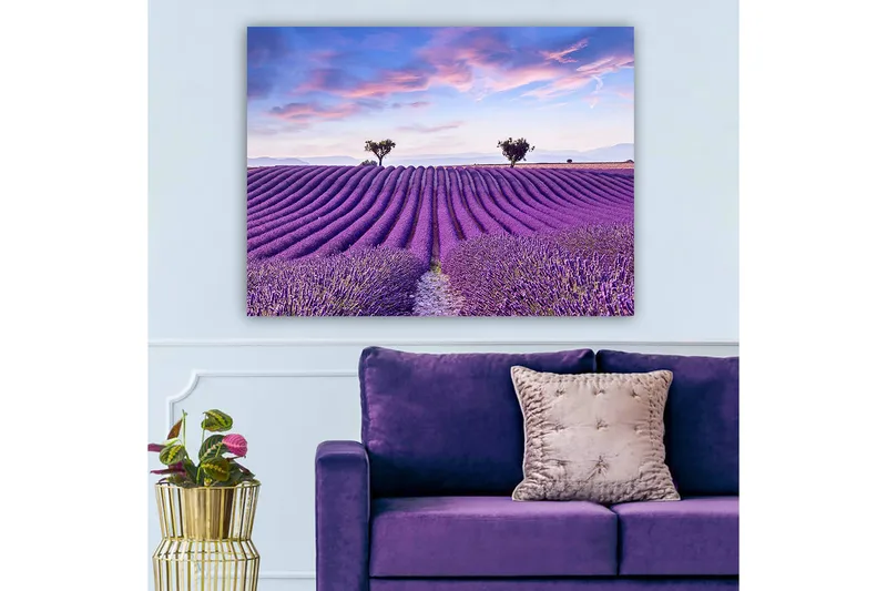Canvastavla 70x100 cm - Vacker lavendelfält med mjuka, vågiga rader av lavendelblommor under en klar himmel - Lila / Grön / Blå - Inredning - Tavlor & konst - Canvastavlor