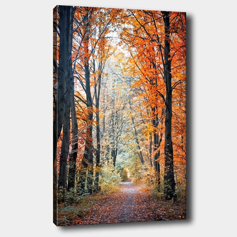 Canvastavla 70x100 cm - Vacker skogsstig omgiven av höstfärger och träd med gyllene och orange löv - Orange / Guld / Grön - Inredning - Tavlor & konst - Canvastavlor