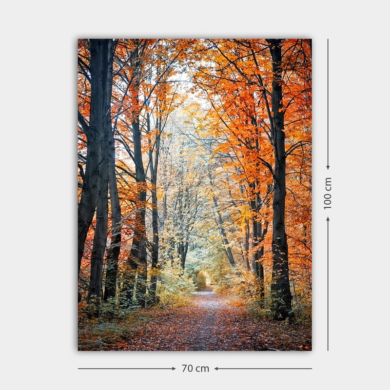 Canvastavla 70x100 cm - Vacker skogsstig omgiven av höstfärger och träd med gyllene och orange löv - Orange / Guld / Grön - Inredning - Tavlor & konst - Canvastavlor