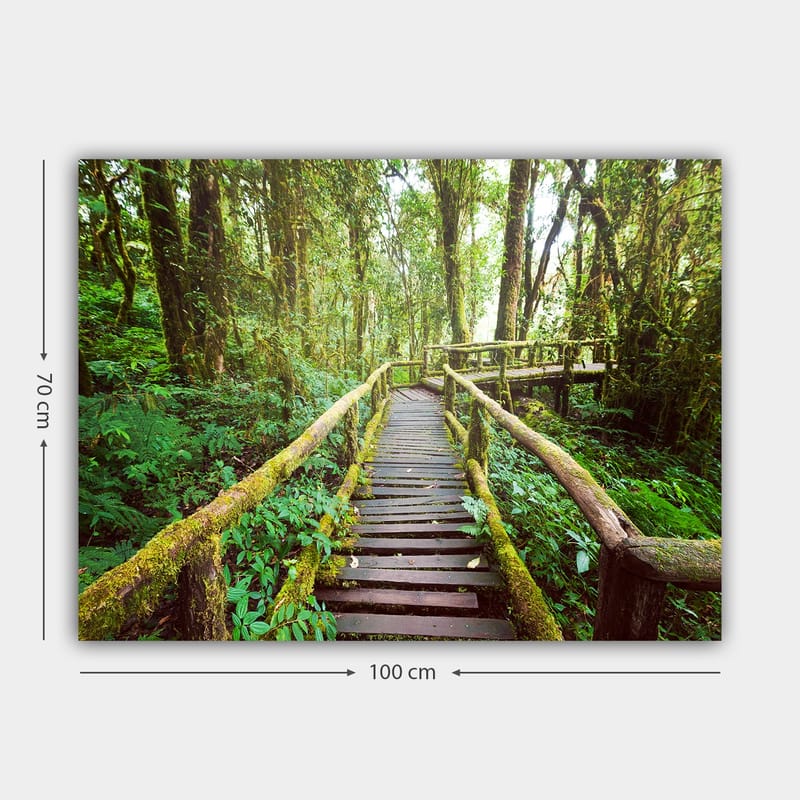 Canvastavla 70x100 cm - Vacker träbro som slingrar sig genom en grönskande regnskog - Grön / Brun / Gulgrön - Inredning - Tavlor & konst - Canvastavlor