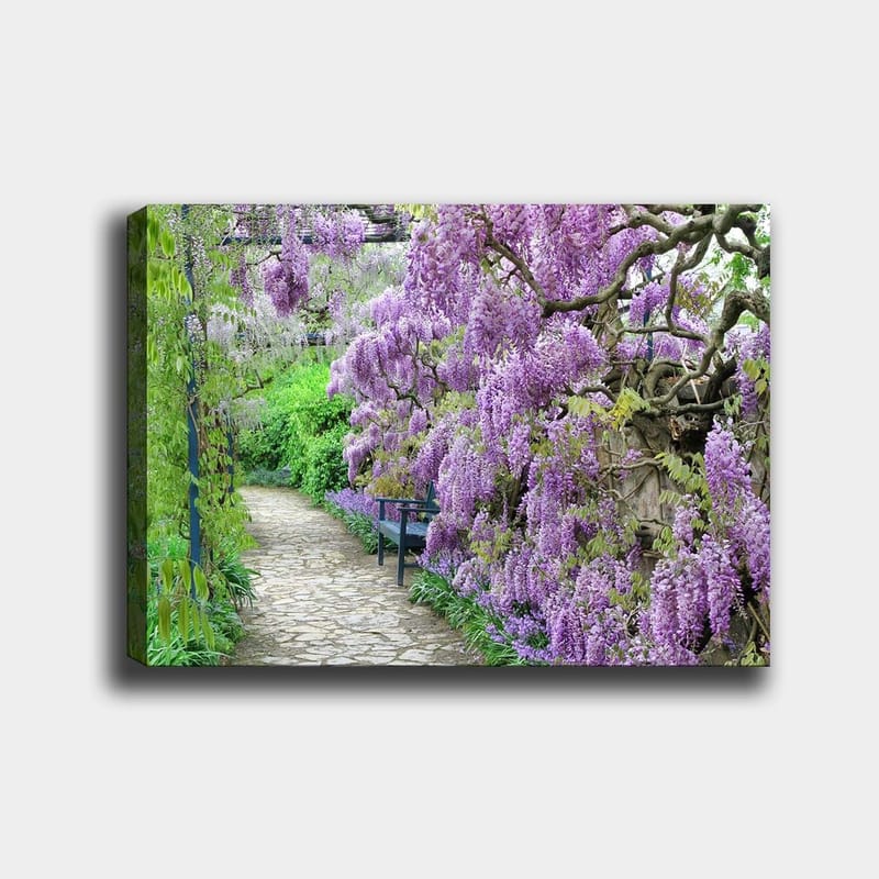 Canvastavla 70x100 cm - Vacker trädgård med blommande wisteria som skapar en romantisk och lugn atmosfär, Lila / Grön