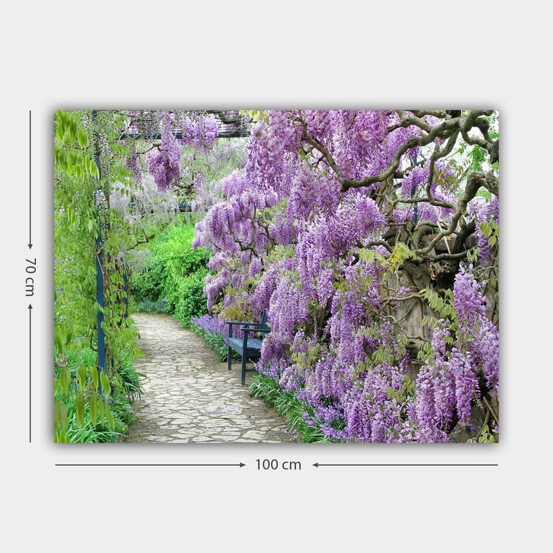 Canvastavla 70x100 cm - Vacker trädgård med blommande wisteria som skapar en romantisk och lugn atmosfär - Lila / Grön - Inredning - Tavlor & konst - Canvastavlor