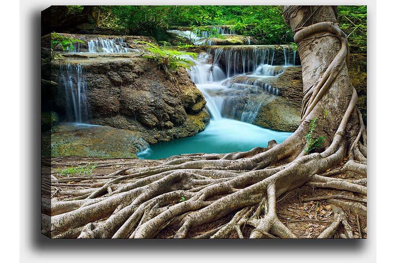 Canvastavla 70x100 cm - Vacker vattenfallsscen omgiven av frodig grönska och kraftiga trädstammar - Grön / Blå / Brun - Inredning - Tavlor & konst - Canvastavlor